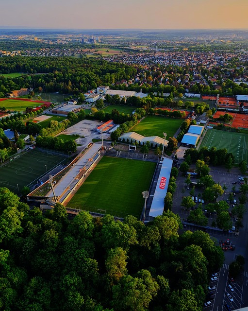 一些颜面 一些颜面