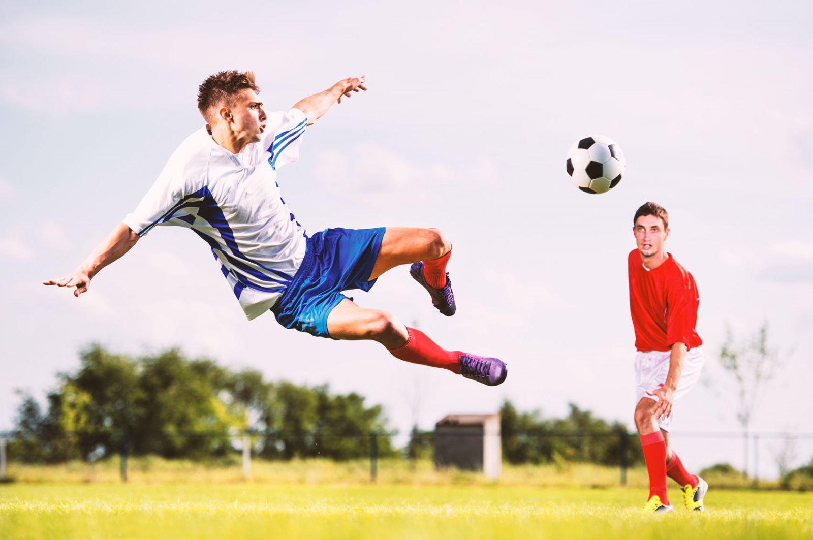 体规划和传 体规划和传