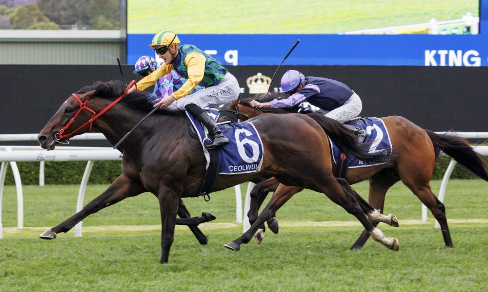 本篇文章将 本篇文章将