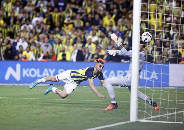 仅限于眼前 仅限于眼前