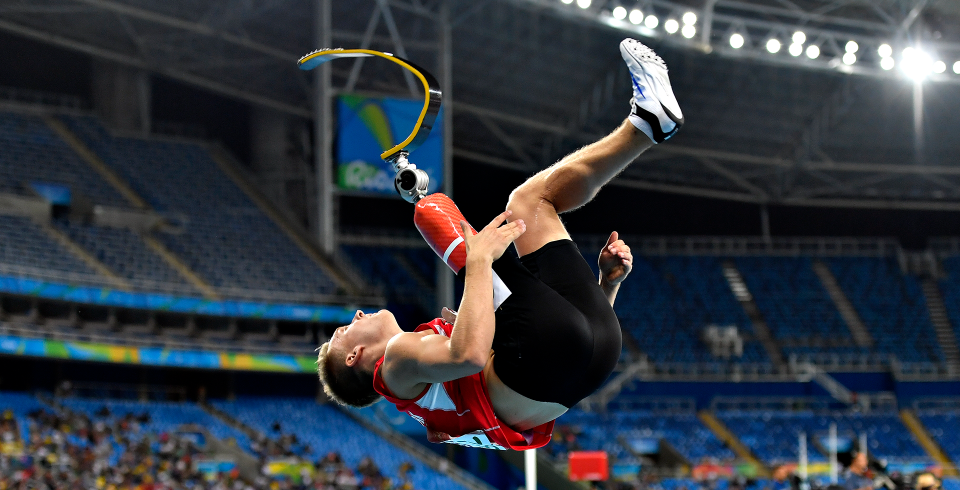 广州蒲公英 广州蒲公英