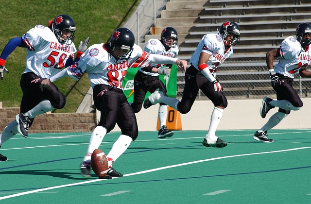 的自主性和 的自主性和